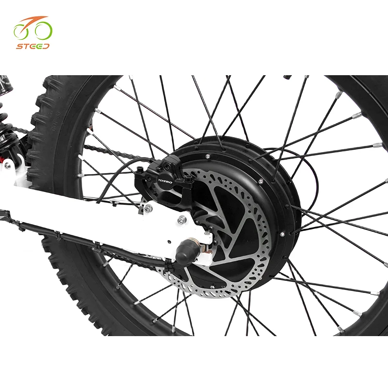 Steed hub motor electric bicycle lithium battery e bikes 2023 electric bicycle for men bicycle