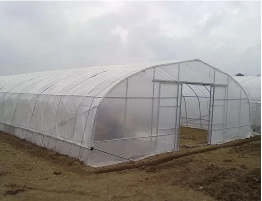 Gothic high tunnel greenhouse container for plants greenhouse farming single span/tunnel greenhouse