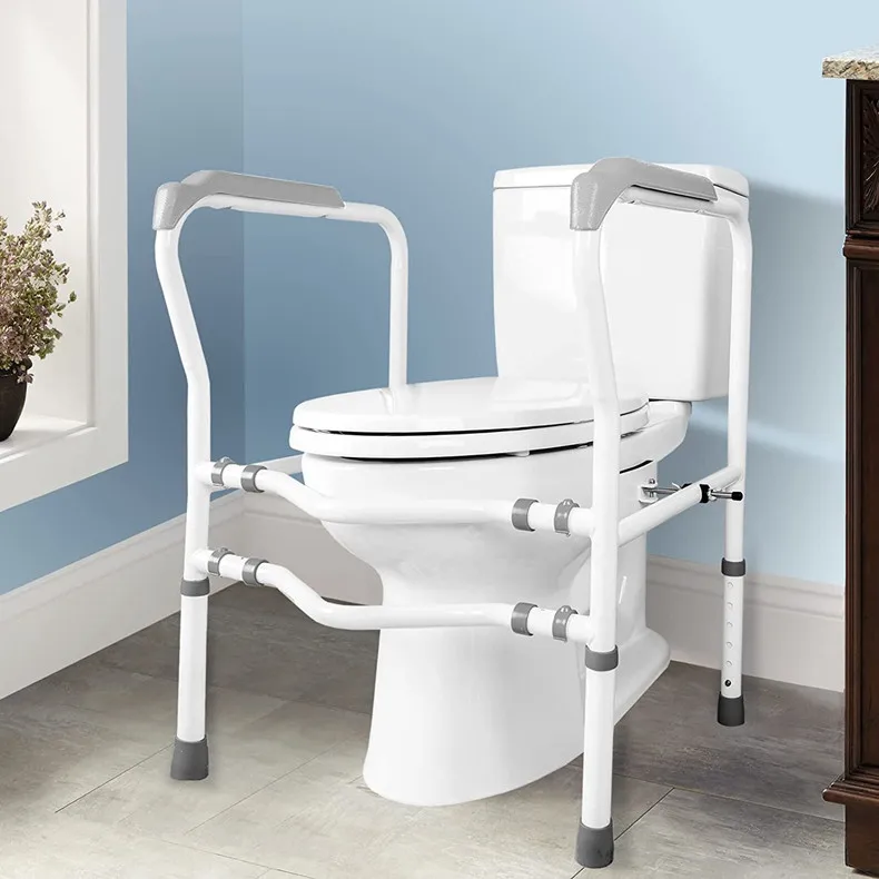 toilet rails_.jpg