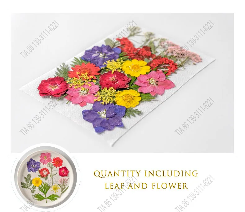cheap 28pcs Pressed Flowers Dried Flowers for Resin Decor Crafts, Natural Dry Flowers Leaves Bulk Kit for DIY Scrapbook, candles