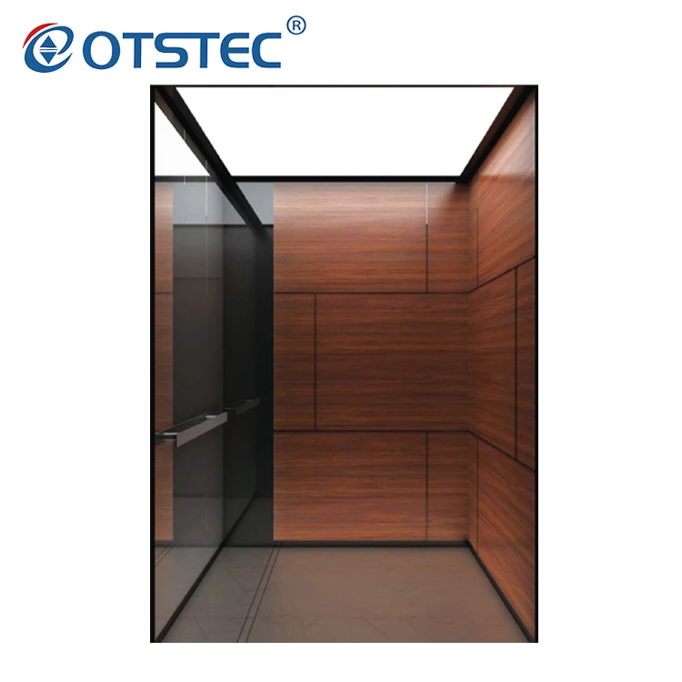 New Hot Sale CE Standard Factory Supplier Home Elevator