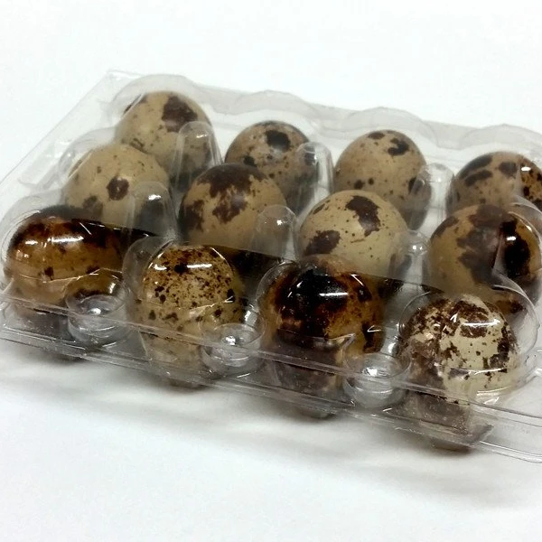 1000 шт./лот 12 отверстий перепелиные контейнеры для яиц пластиковые коробки для яиц