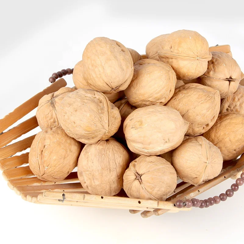 100% Healthy Organic walnut inshell  Shinong dried fruit Xinjiang Paper Shell Walnuts in shell