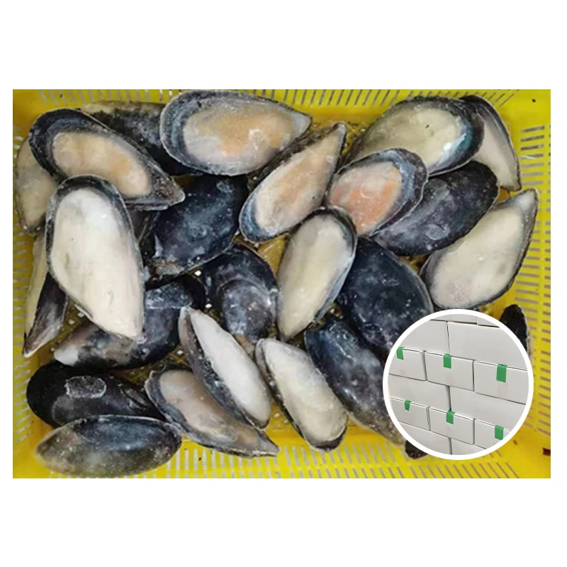 Seafood Mytilus Edulis Good Packaging Mussel Meat Frozen Half Shell Mussel