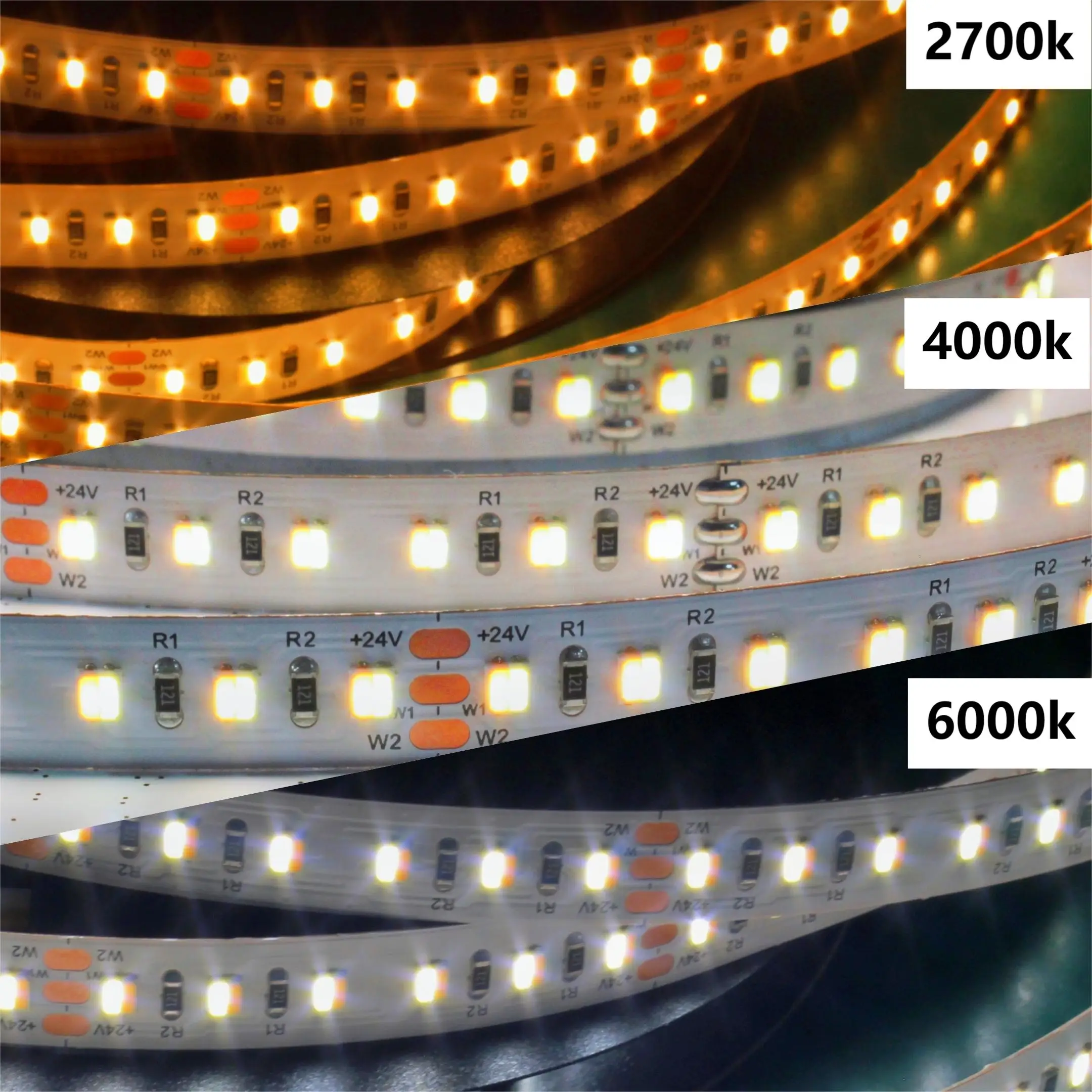 Best Quality low voltage 10mm WW CW two colors SMD 2835 LED Strip Indoor CCT for Furniture Decoration