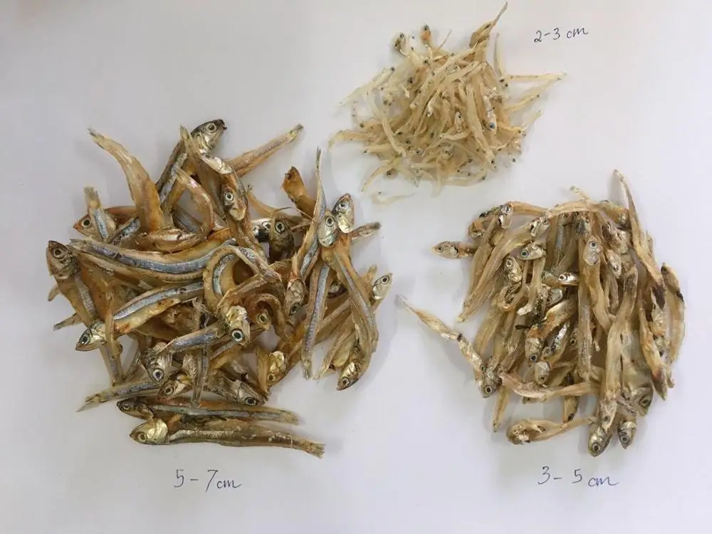 Viet Nam Price Anchovy Fish//Ms KIMMY +84 947032939