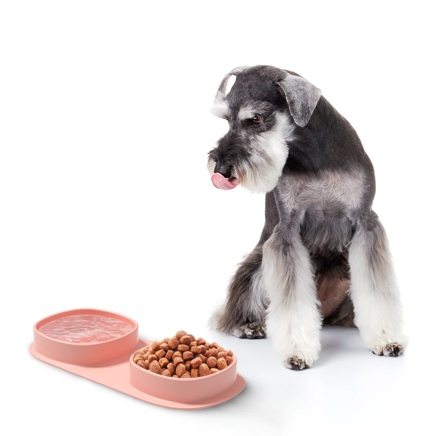 2024 Portable Dog Water and Food Feeder Outdoor Travel Feeding Bowl Plate Feeder Utensils Pet Accessories Supplies Box for Dogs