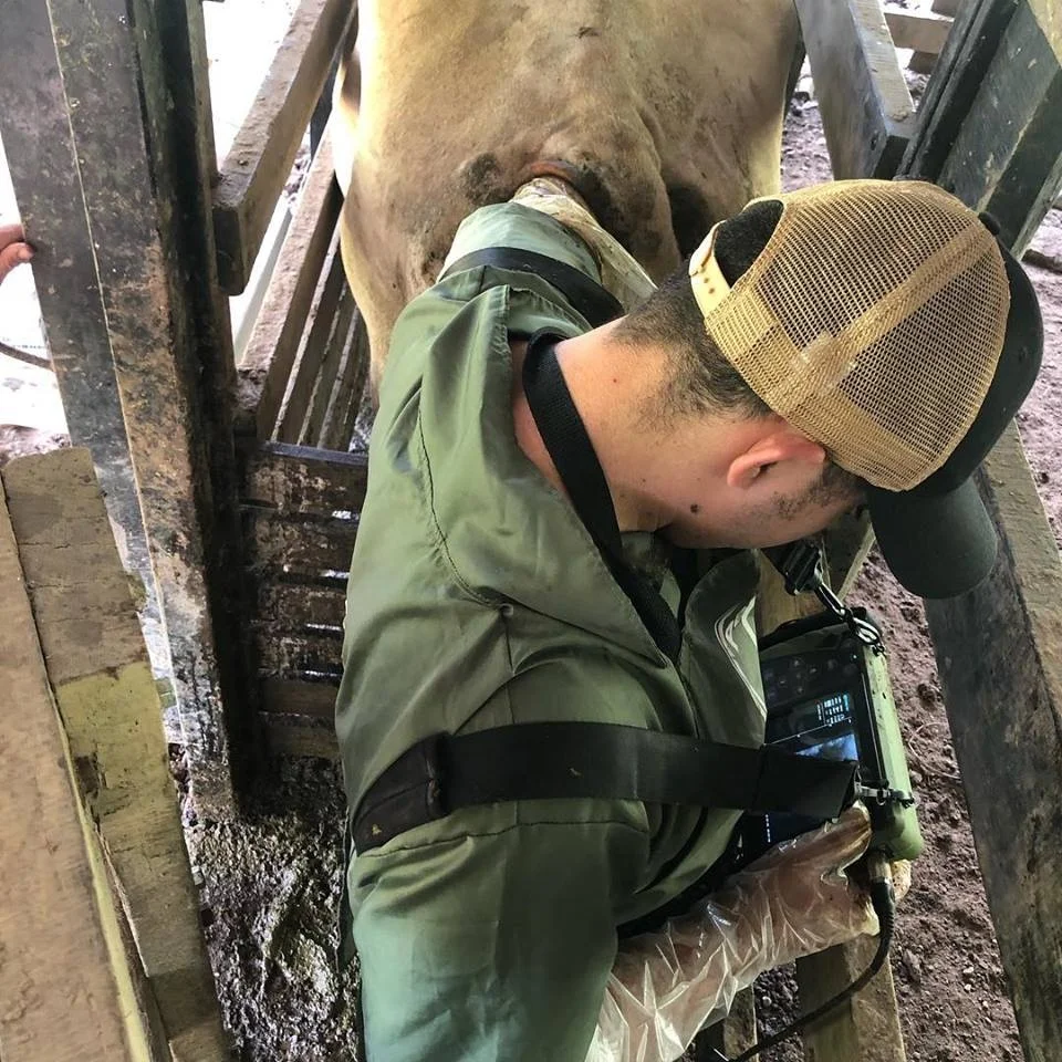 Veterinary Palm Ultrasound Scanner For cow/horse/Animals