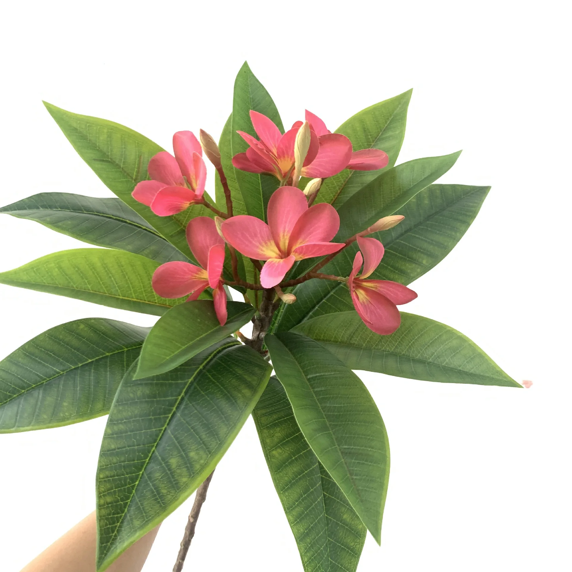 High Quality N-0116 Hawaii Hawaiian Artificial Real Touch Hair Foam 3D Plumeria Flower Bundle