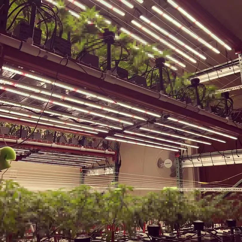 Vertical Farming Equipment Grow Rack Aeroponics Hydroponic Growing Systems