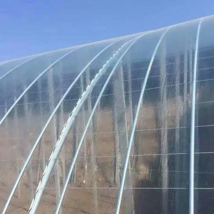 China produce safe and reliable paddy greenhouse films