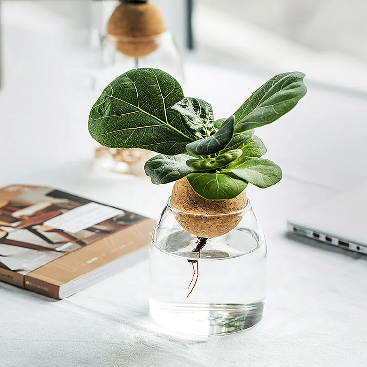 Creative Table Indoor Hydroponic Plant Round Nordic Decorative Clear Small Flower Bottle Wedding Vases