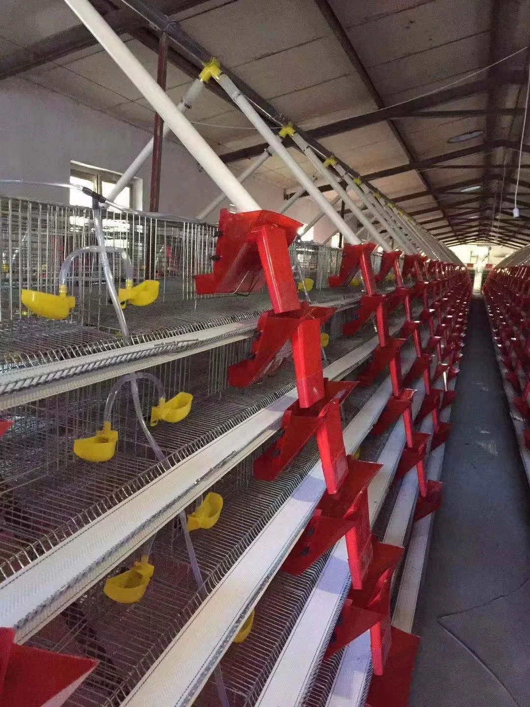 factory price H type 6 tiers quail cage
