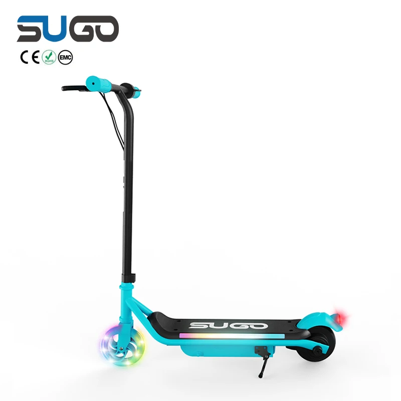 Guarantee of Arrival E Electric Scooter Brushless/hub Motor Electric Scooter