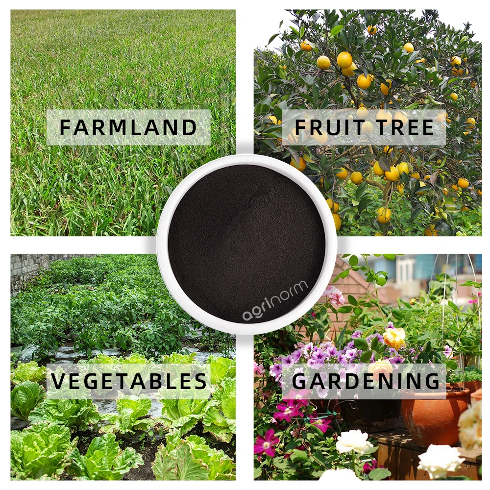 Super natural plant growth stimulants 100% water soluble organic fertilizer Humic Acid+Amino Acid+Seaweed Extract