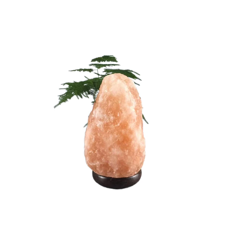 Natural Aroma Pink Rock Lamp  Natural Himalayan Salt Lamp Wooden Base For Room Decoration Hand Carved Light
