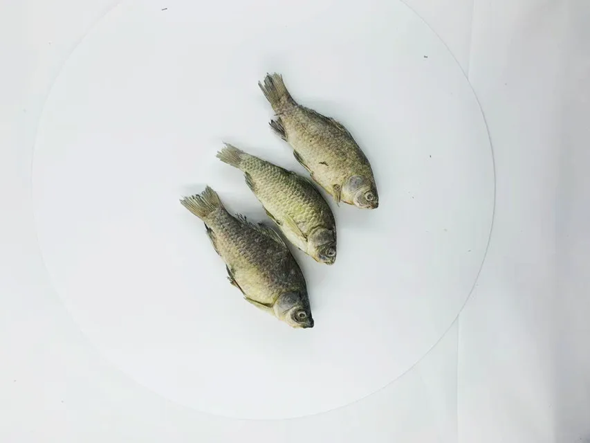 LOW MOQ  OEM private label  freeze dried herring fish   for cat treats