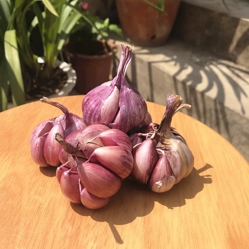 2022 новый урожай Свежий натуральный Нормальный/чистый белый чеснок/свежий чеснок 2021 новый урожай