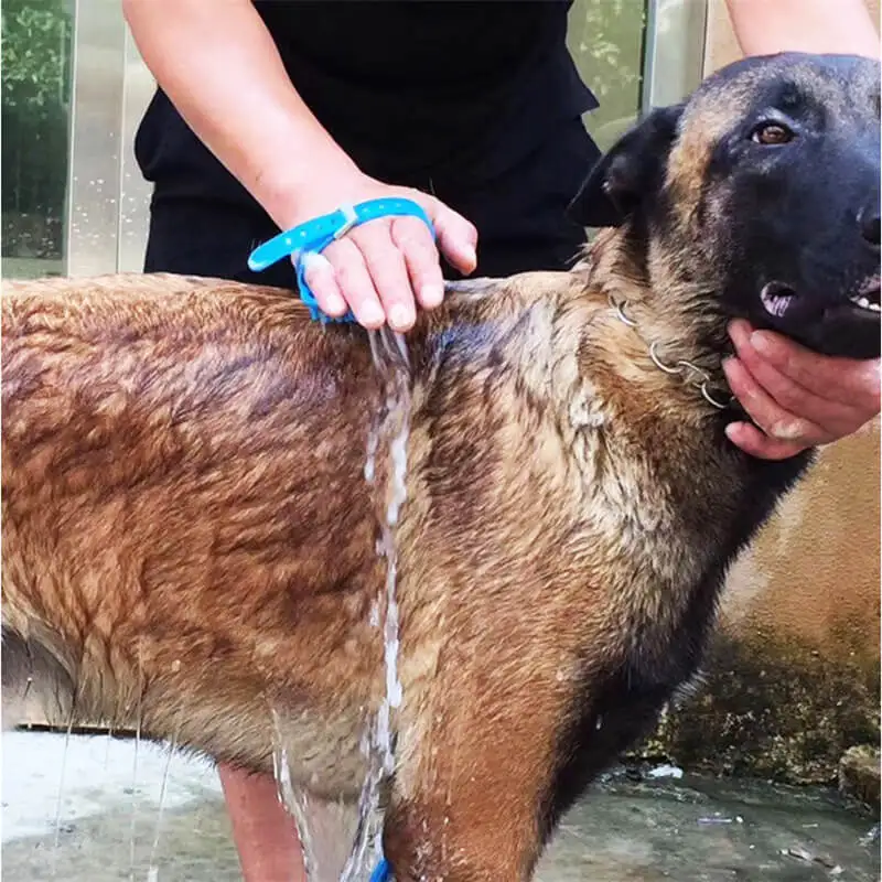 3 in 1 Pet bath Hand held bath brush spray massage soft silicone Cat and dog bath tool pet cleaning brush