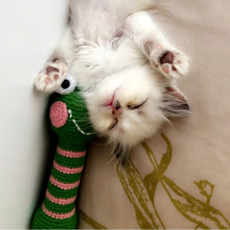 New design crochet green frog baby rattle 100% handmade crochet catnip toy lovely kicker cat toy