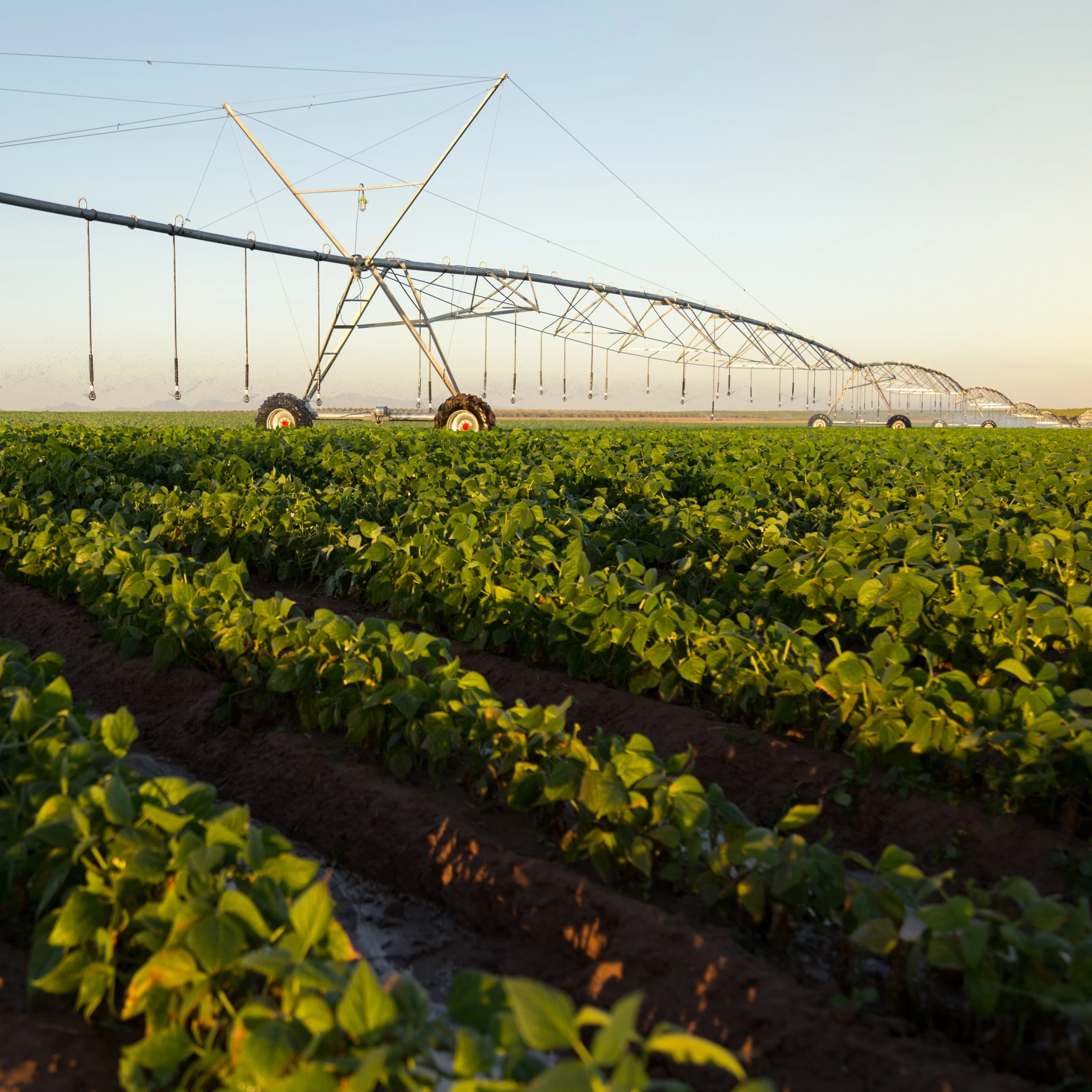 2022 Hot sales  Center Pivot Farm irrigation Systems for big land