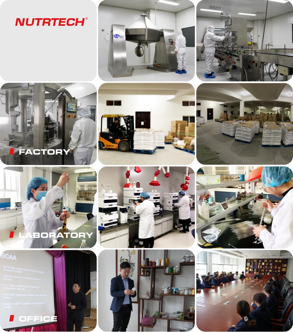 High Quality Halal Omega 3 Fish Oil Softgel Capsules OEM Kosher Sports Nutrition Health Care Adults Bulk Supply Omegas Fish Oil