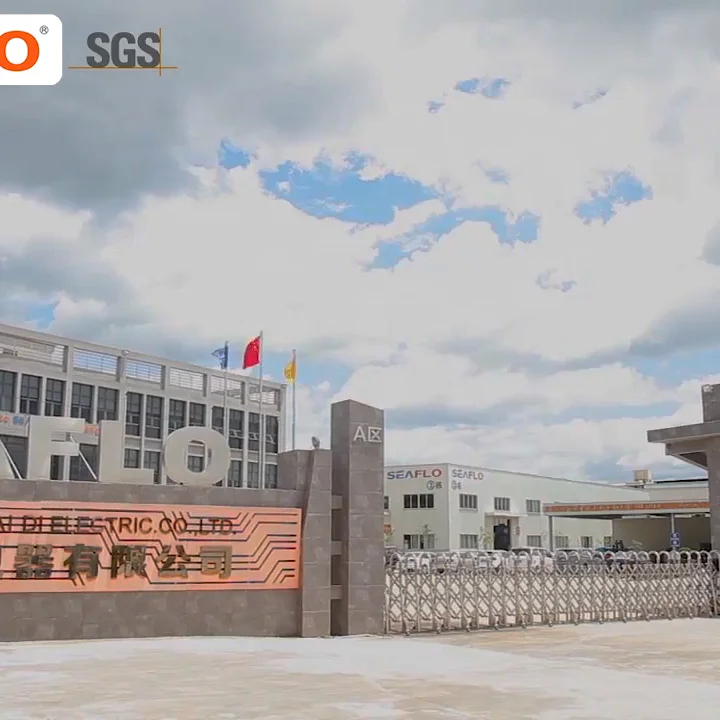 SEAFLO Automatic bilge pump 12v dc sea water pump  for marine yacht