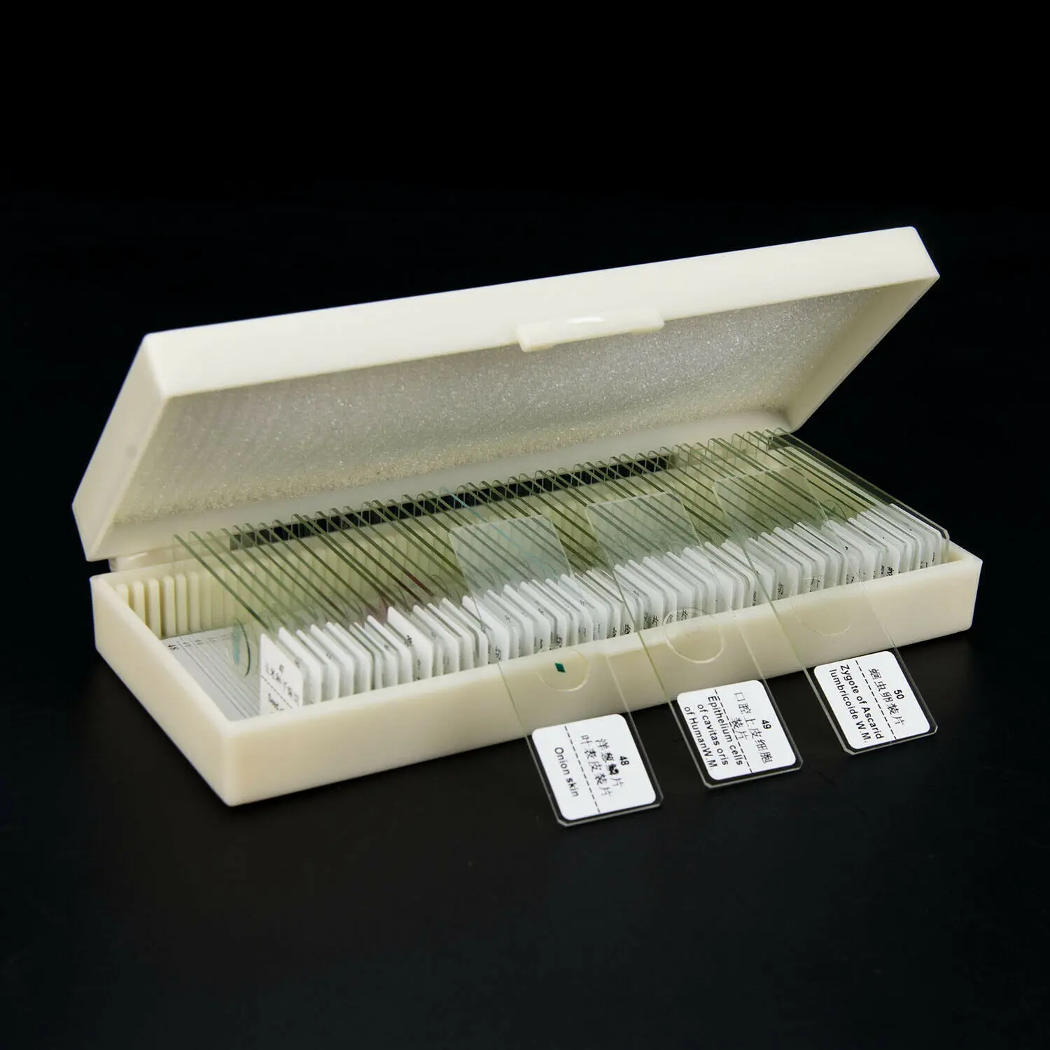 Glass Prepared Microscope Slides W/ Box for Biological Basic Science Lab
