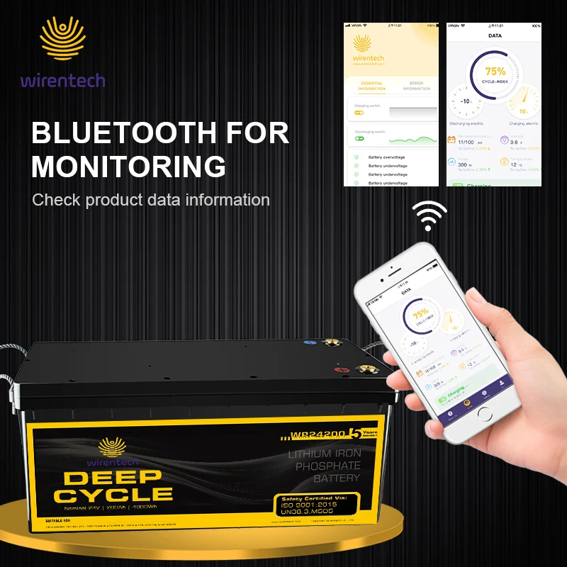 24V 200ah Lifepo4 Battery Warehouse Active BMS Lifopo4 Lithium Battery 6000cycles Clean Energy New Energy Battery for Irrigation