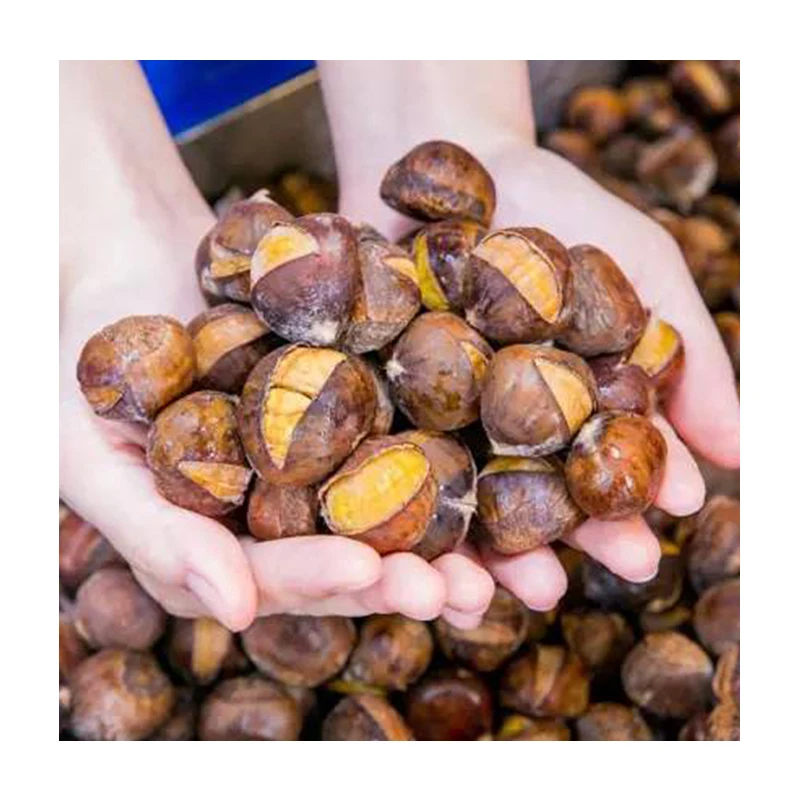 Best Quality chestnut wholesale fresh chestnut price frozen chestnuts With Hot sale