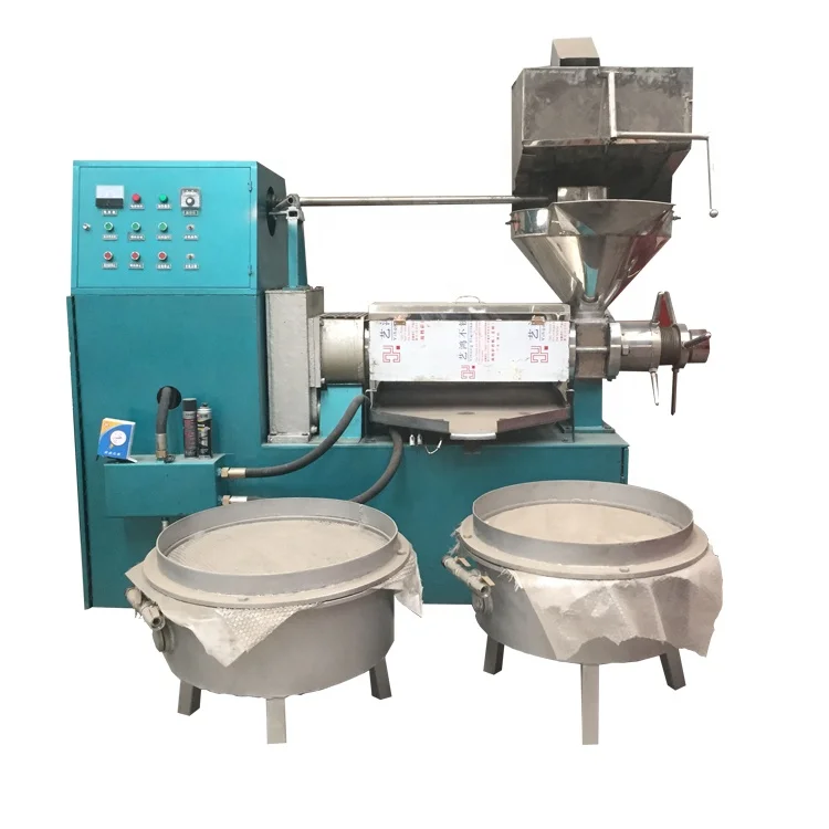 Stainless steel 150kg/h large commercial oil extraction machine screw palm oil press machine