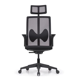 Korean Mesh Upholstered Office Chair with Butterfly Lumbar Support and Germany Bock Mechanism