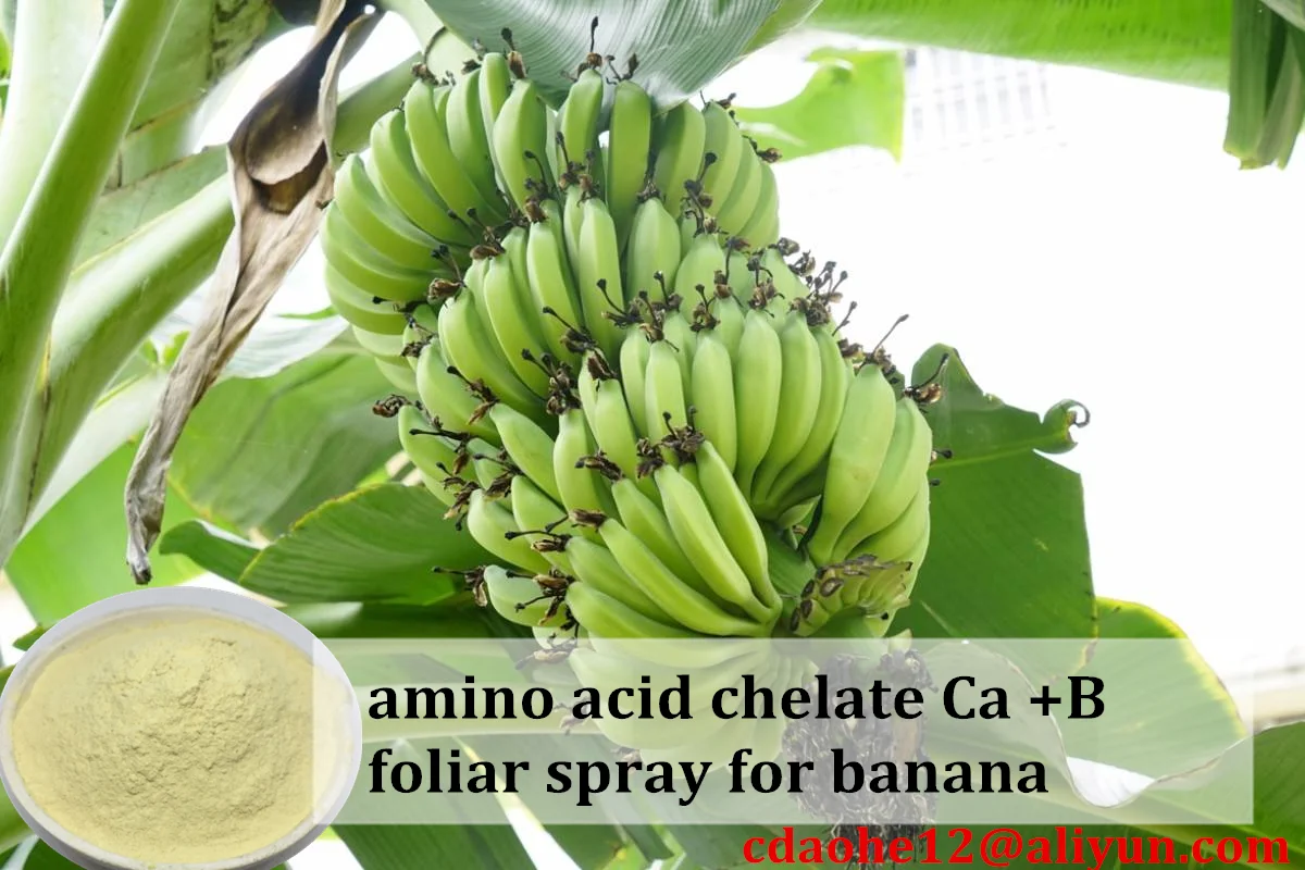 Биостимуляторы для роста растений на основе аминокислоты кальция хлорированные органические аминоки банан фолиевое удобрение