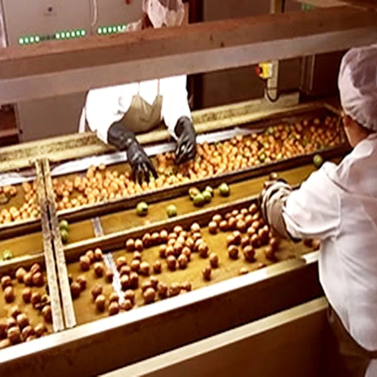 Nuts Roasting Production Line Almond Cashew Hazelnut Peanut Pistachio Sunflower Seeds Roasting Machines Line