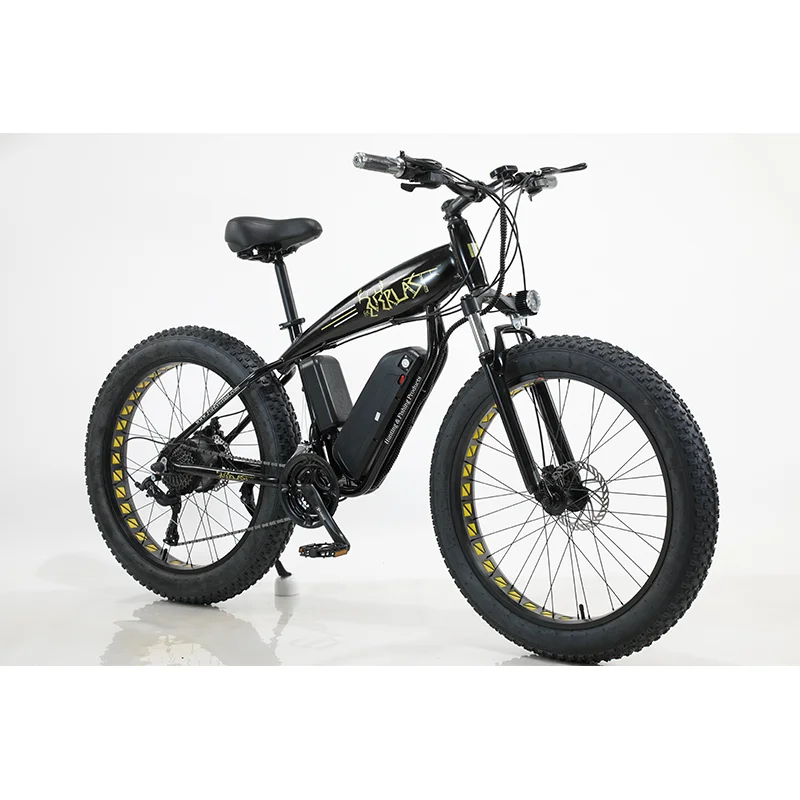 High power 750W 48V snow electric mountain bike/ebike