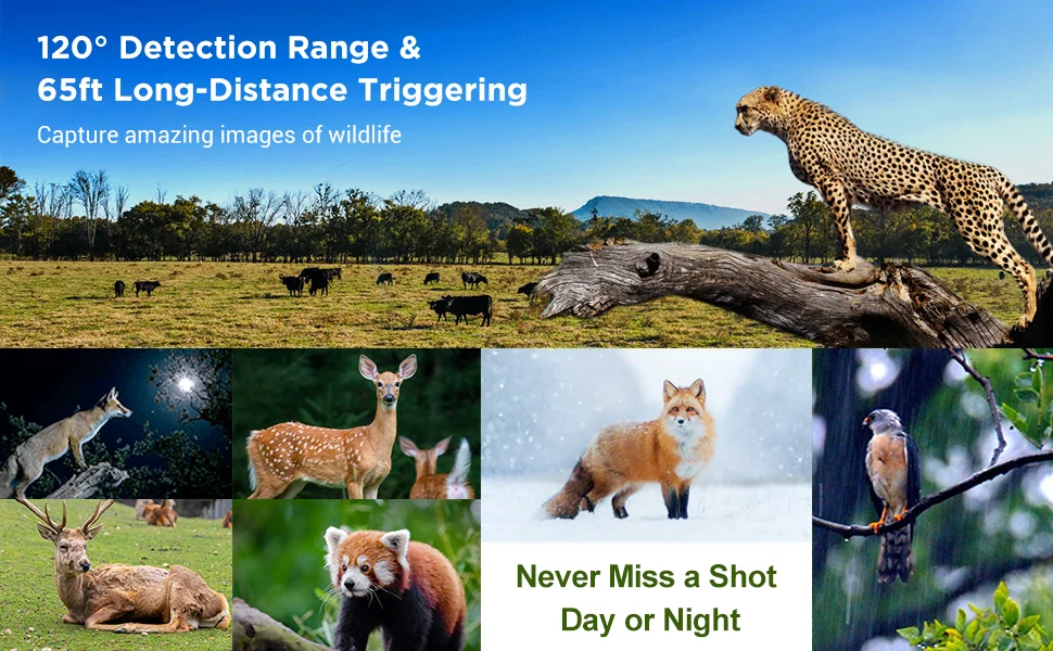 2022 New Arrival Infrared Night Vision Trail Camera 0.2s Triggering Time Motion Sensor Dual len Camera