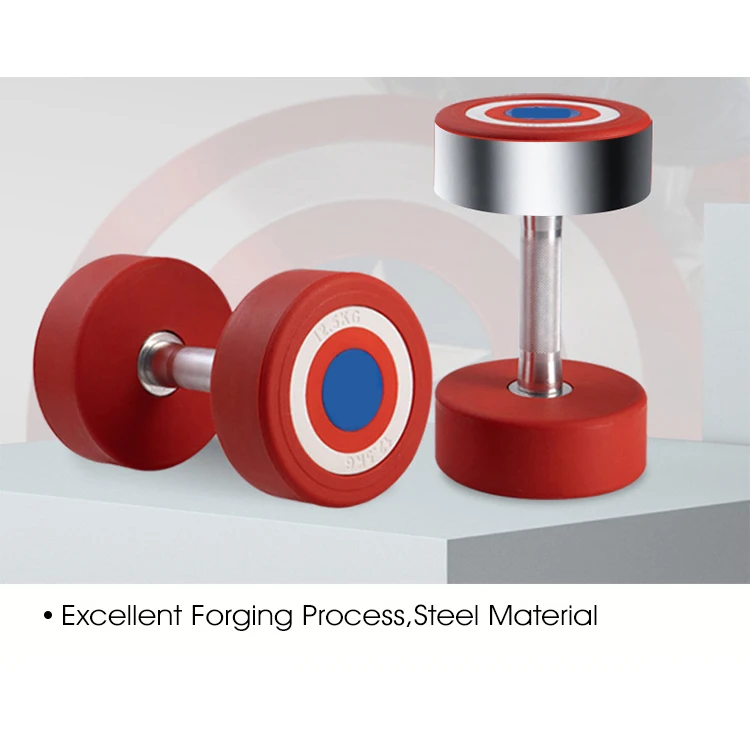 America  Dumbbells Wholesale Pu Rubber Dumbbells 10kg Gym Weightlifting Dumbbells