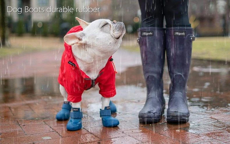 03Rain dog shoe.jpg