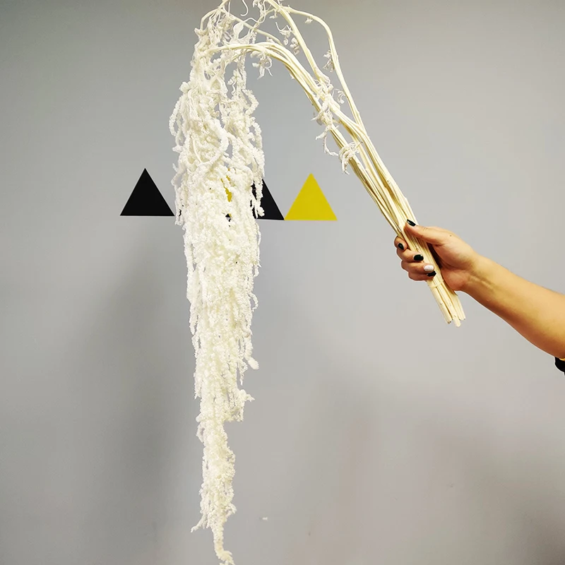 Wholesale Dried Flowers Preserved Hanging Rice Flowers Pure White Hanging Amaranth
