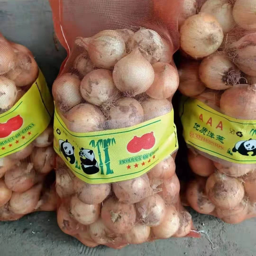 Wholesale Fresh Indian Big Onion for Export Vietnam Malaysia Singapore exporters fresh onion buyers
