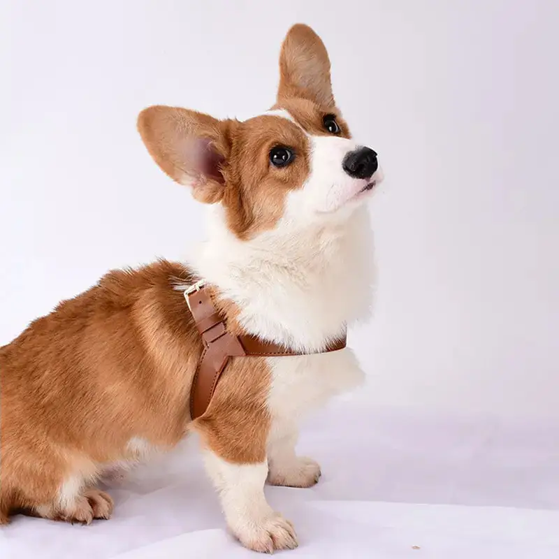 Lux Ergonomic Puppy Working Body Vest Strap Dog Set Fur Dog Harness