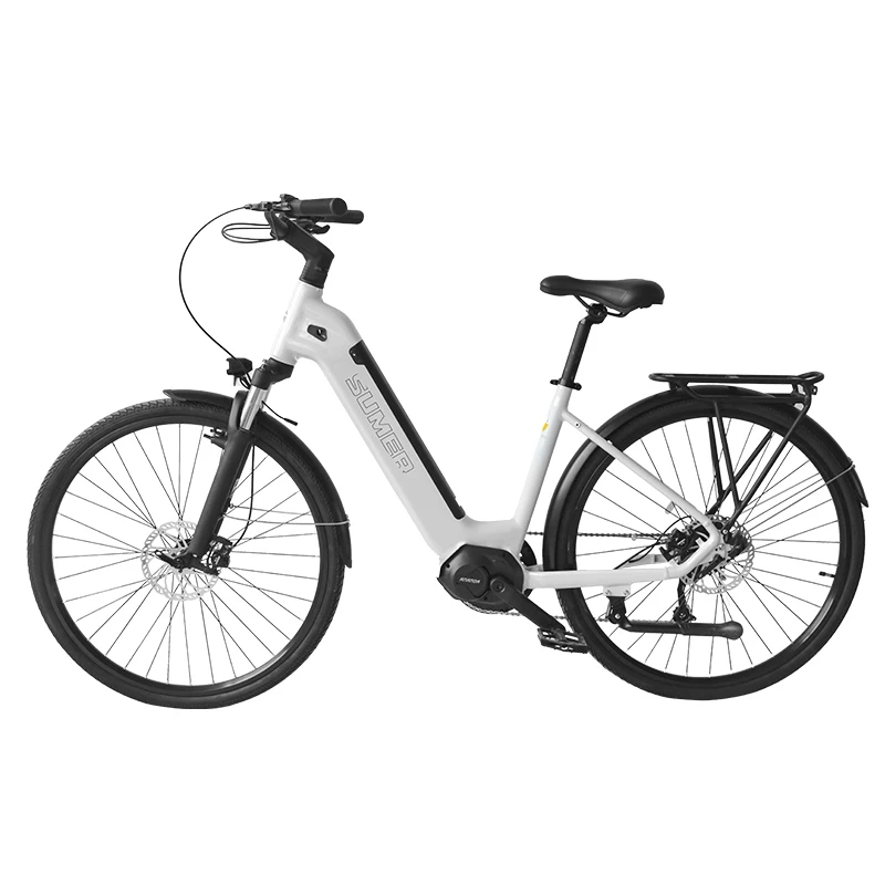 48V 350W Mid Mounted Motor Electric Scooter Electric City Bike For Adult