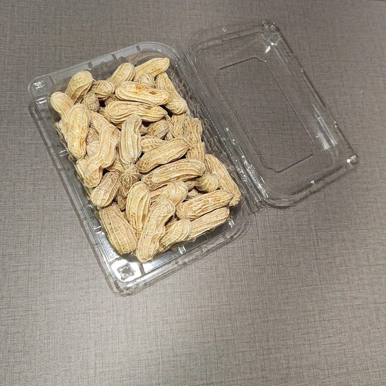 Disposable Clamshell Packaging Peanut Fruits Clear PET Plastic Box Blister Clamshell Container