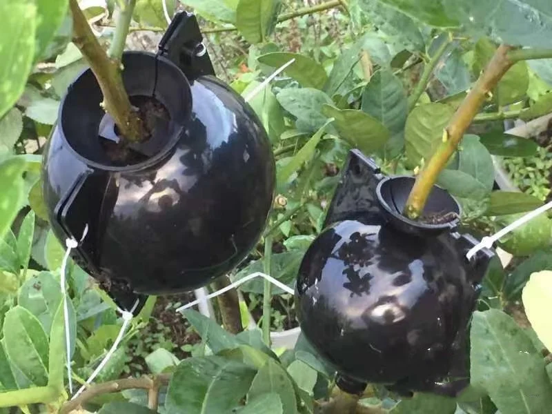 Garden Plant high-pressure Propagation Ball Plant Root High Pressure Propagation Ball  plant root growing box ball