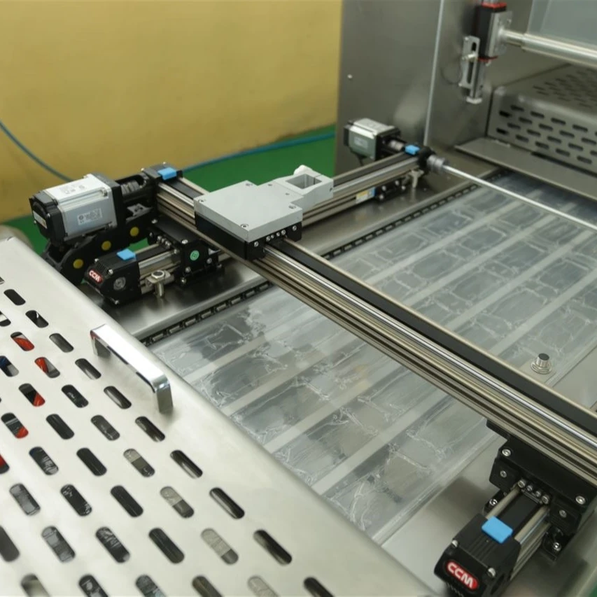 Stainless Steel Food  Automatic Vacuum Continuous Packing Machine Vacuum Packing Machine