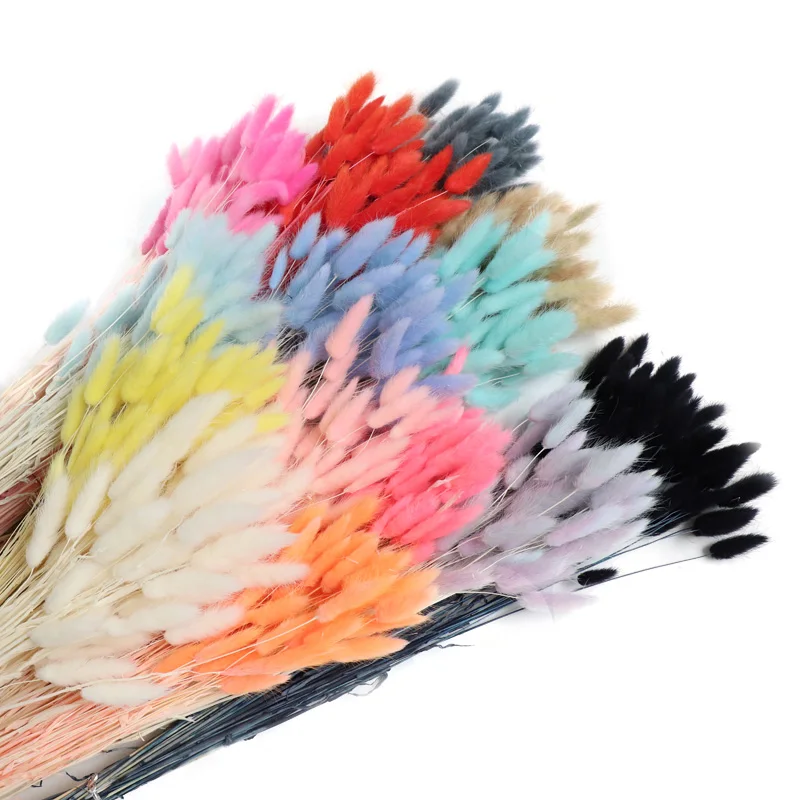 Оптовая продажа привлекательные и качественные вечные цветы Lagurus сушеные букеты с изображением кролика хвоста украшение для вечеринки