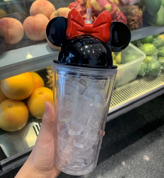 
Homefish OEM Cute Style 450ml Mickey Lid Double Wall Acrylic Plastic Insulated Travel Tumblers Minnie Tumbler With Straw For Kid 