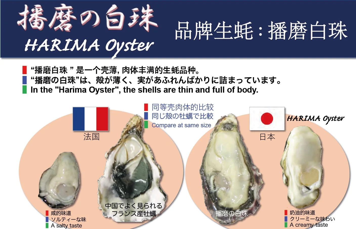 Замороженные морепродукты Устрица разумная