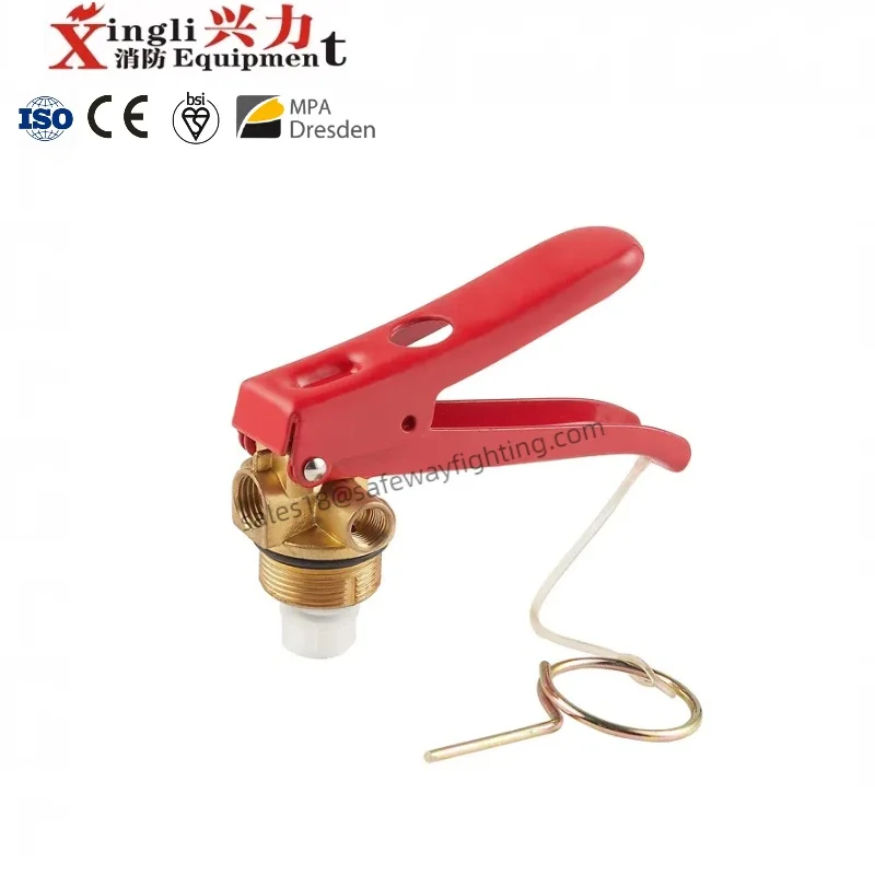 Factory Direct Sale High Quality 4KG Mexico Type Fire Extinguisher Valve