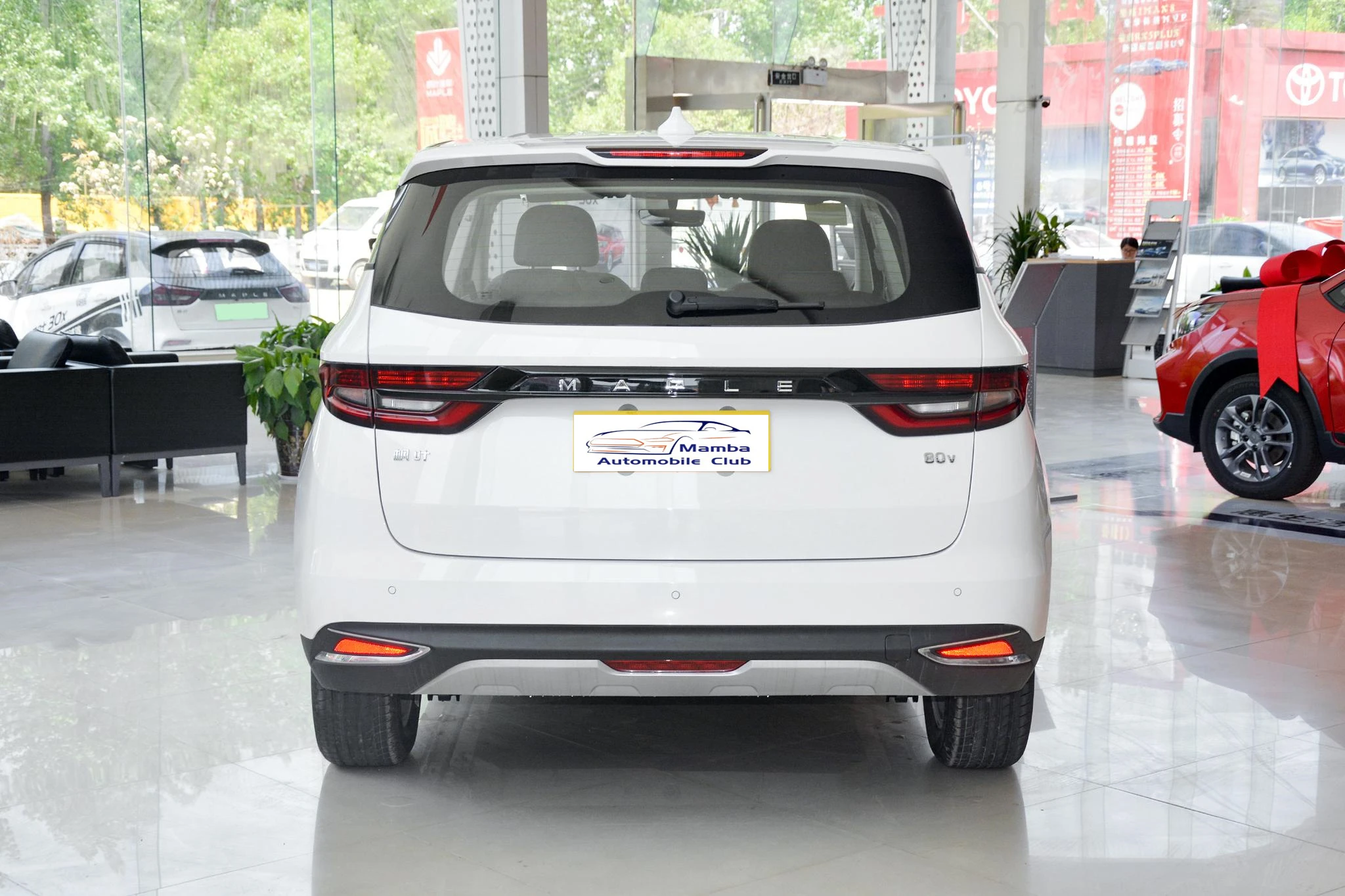 Charger for New Energy Vehicles 4 Seat Automobile Electric Power Vehicles Adults New Energy Vehicles LIfan Maple leaf 80V